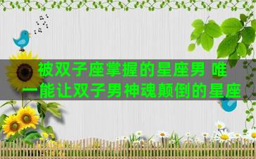 被双子座掌握的星座男 唯一能让双子男神魂颠倒的星座